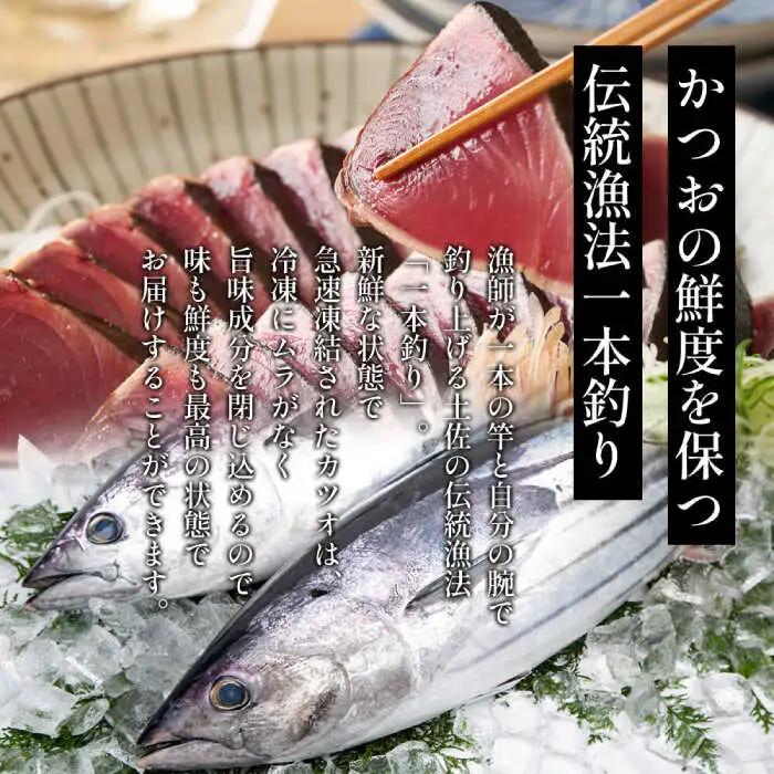 【最速発送】龍馬セット (龍馬鰹たたき約300g 龍馬しらす約250g) 【株式会社　七和】 [ATAX012]　スピード 最短 最速 発送