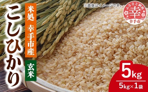 令和7年幸手産 こしひかり【玄米】5㎏×1袋 - コシヒカリ 玄米 5kg 令和7年産 埼玉県 幸手市 幸手市産