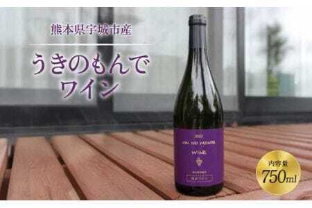 ワイン うきのもんでワイン 赤 750ml×1本