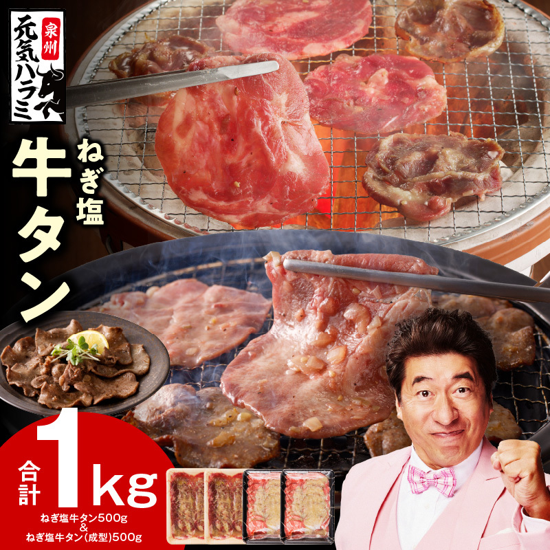 ねぎ塩 牛タン 食べ比べセット 合計 1kg（牛タン 500g／成型牛たん 500g）【焼肉用 焼くだけ 小分け BBQ やきにく】 099H4050
