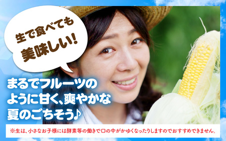 サニーショコラ　15～18本セット | とうもろこし