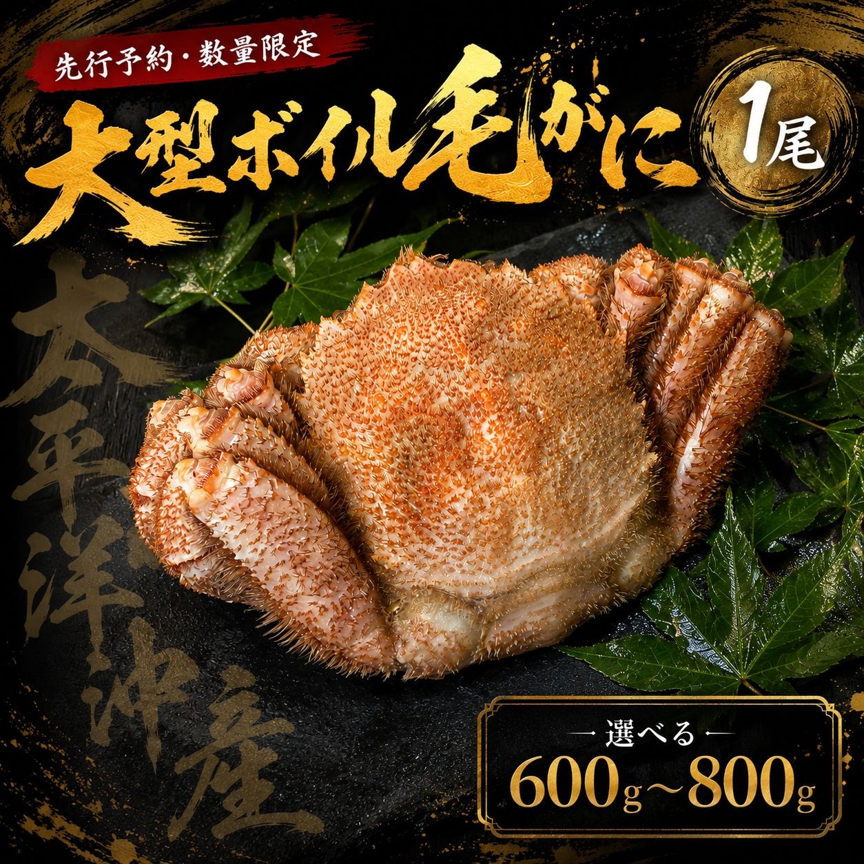 
                  【先行予約・数量限定】大型ボイル毛ガニ【600g・700g・800g】　１尾（茹で冷凍）【けがに　ケガニ　毛蟹　毛がに　カニ　太平洋　北海道　広尾町　冷凍　ボイル　海鮮　グルメ】
                