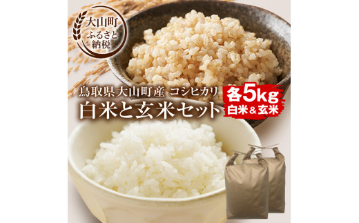 【令和8年10月以降発送新米】MS-108  大山町産こしひかり【大山の一粒】「白米」と「玄米」セット（各5kg 計10kg）