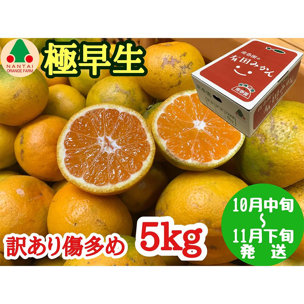 【ふるさと納税】訳あり 傷多め 極早生 有田 みかん 5kg L～SS サイズおまかせ 南泰園 和歌山 有田みかん