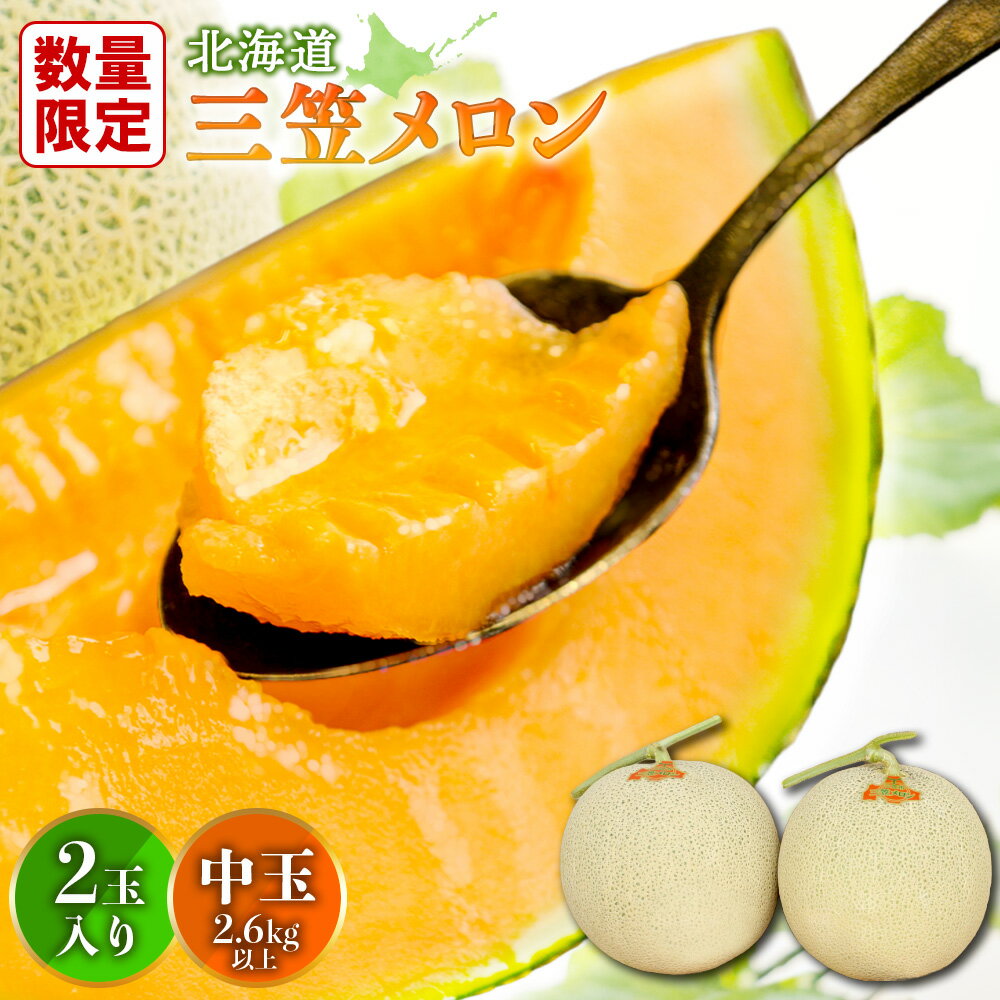 【ふるさと納税】【SDGs】《2025年分受付中》とろける食感と甘い香り北海道三笠メロン2玉入（2.6kg以上） メロン 2玉 フルーツ 2.6kg 果物 デザート グルメ 旬 取り寄せ 贈り物 ふるさと納税 三笠市 三笠【0100102】