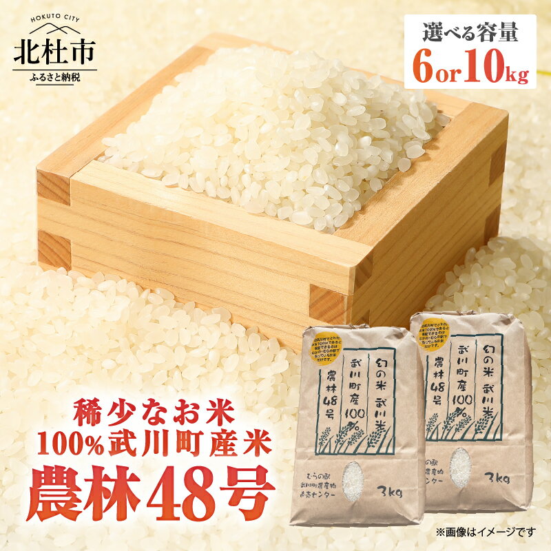 【ふるさと納税】 米 令和7年度米 農林48号 新米 選べる容量 計6kg 計10kg 3kg×2袋 5kg×2袋 10kg×1袋 幻の米 北杜市 武川町産 粘り 甘味 冷めても美味しい 山梨最大の米処 【令和7年度新米先行予約】 送料無料