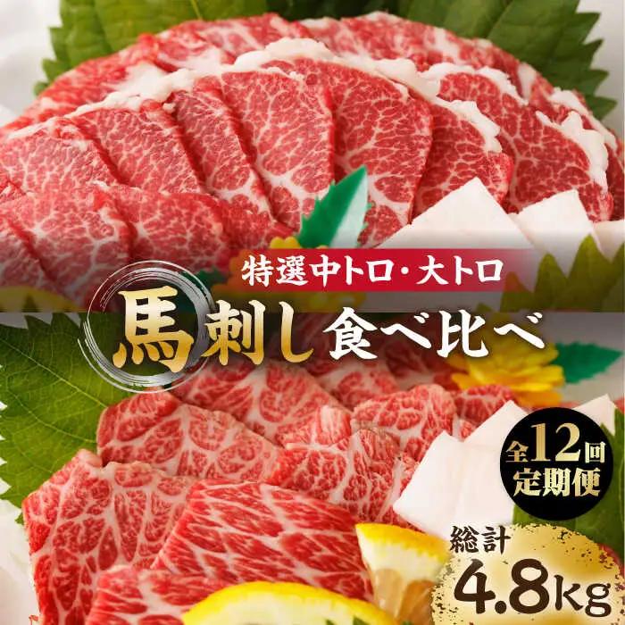 【12回定期便】特選霜降り馬刺し 中トロ大トロ2種食べ比べセット 計400g（各2pc）【馬刺しの郷 民守】2種馬刺しセット 中トロ 大トロ 霜降り 特選  [ZBL107]