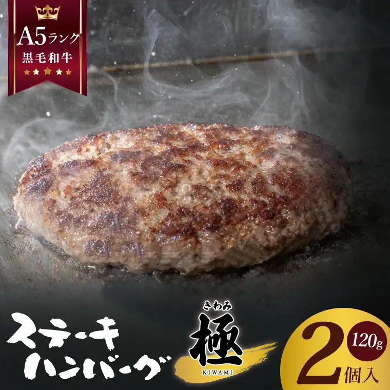 黒毛和牛　A5ランク　ステーキハンバーグ 極 120ｇ×2食入【埼玉県　春日部　国産　惣菜 冷凍　湯煎　レンジ調理　レンチン】（DH002）