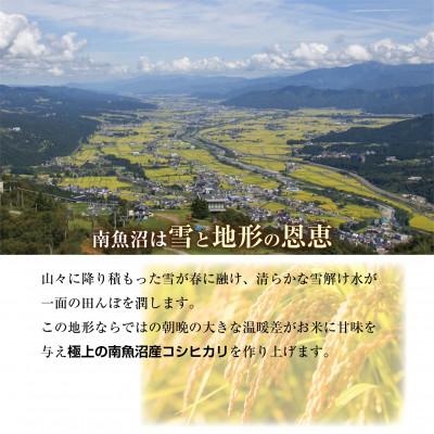 ふるさと納税 南魚沼市 【従来品種】 南魚沼産 コシヒカリ 塩沢地区のお米 精米 8kg (美味しい炊き方ガイド付き) |  | 01