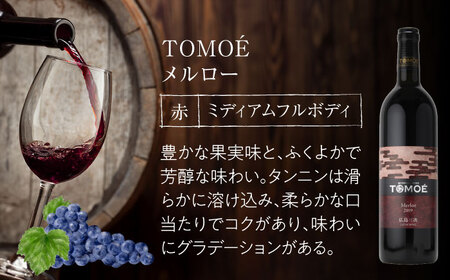 TOMOEワイン2本セット D ワイン 受賞 飲み比べ ワインセット ギフト 三次市 / 広島三次ワイナリー[APAZ026]