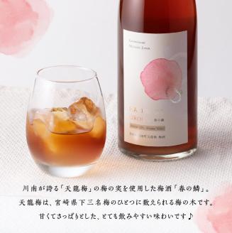 【数量限定】天龍梅の実を使用！オリジナル梅酒「春の鱗」（720ml×2本）【 お酒 アルコール 酒 梅酒 】[F5603]