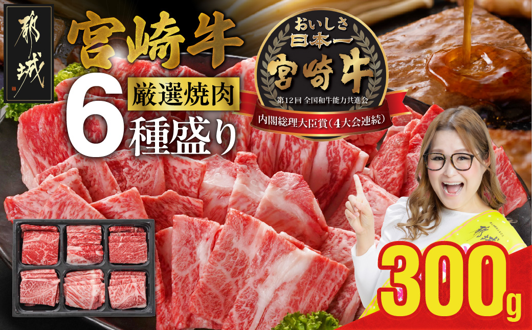宮崎牛6種盛り焼肉食べ比べ300g_16-N204