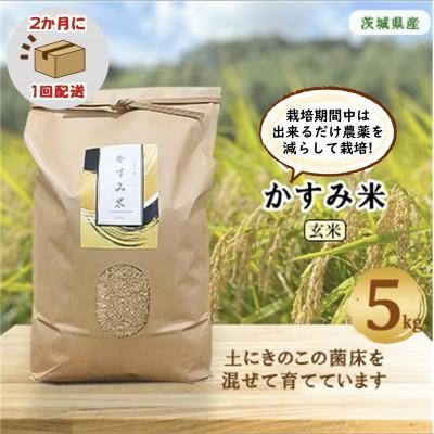 ふるさと納税 潮来市 【2ヵ月毎定期便】栽培期間中出来るだけ農薬を減らして作る かすみ米玄米5kg全6回