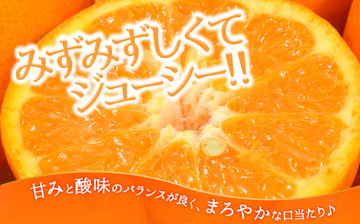 AA076.ぽんかん（5kg程度）／2024年12月～2025年1月配送予定