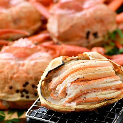 ふるさと納税 越前町 紅ずわいがに甲羅盛り2個 &蟹グラタン3個 |  | 02