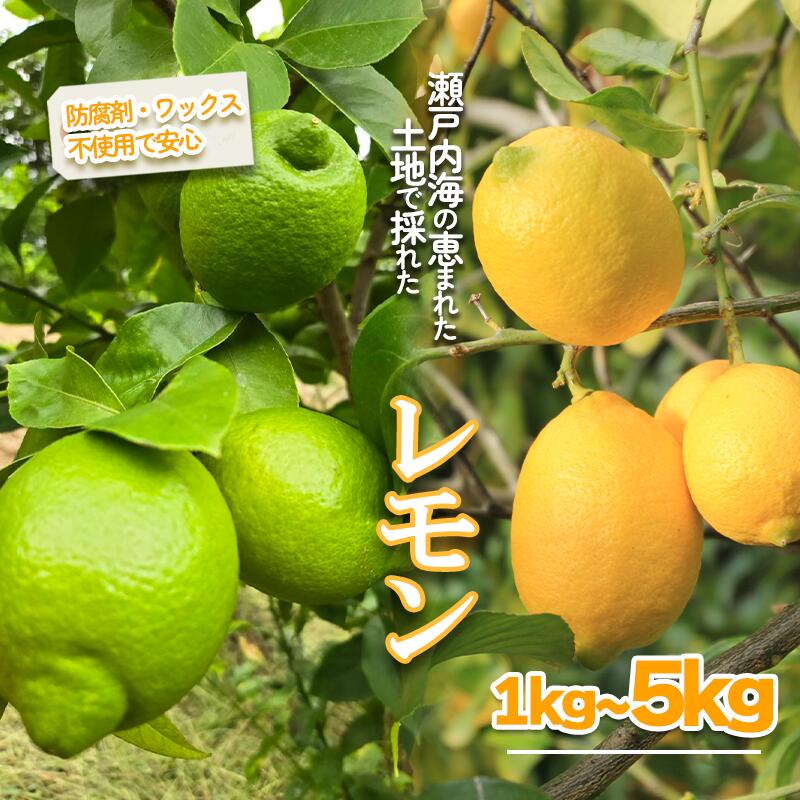 【ふるさと納税】 【先行予約】【選べる色・容量】グリーンレモン イエローレモン 1kg/2.5kg/5kg ｜果物 フルーツ レモン かんきつ 柑橘 グリーンレモン イエローレモン 国産 愛媛県 松山市 瀬戸内 レモン果汁 ビタミン サワー ジュース チューハイ レモンシロップ