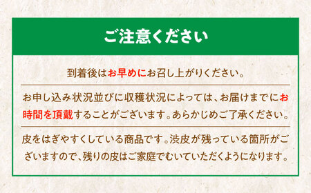 【先行予約】【9月上旬より順次発送】ほくほく甘いお徳用ムキ栗 1.2kg（真空パック）　愛媛県大洲市/沢井青果有限会社 [AGBN034]栗くり栗ごはん栗くり栗ごはん栗くり栗ごはん栗くり栗ごはん栗くり