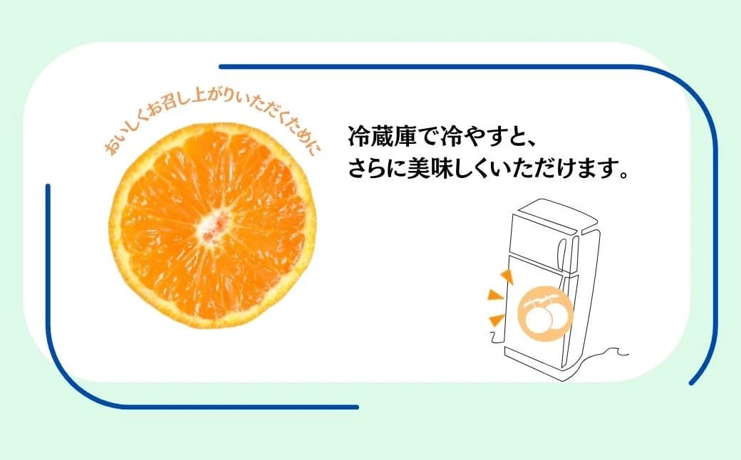 【先行予約！７月以降順次発送】甘いハウスみかん（1.5㎏) 1.5kg