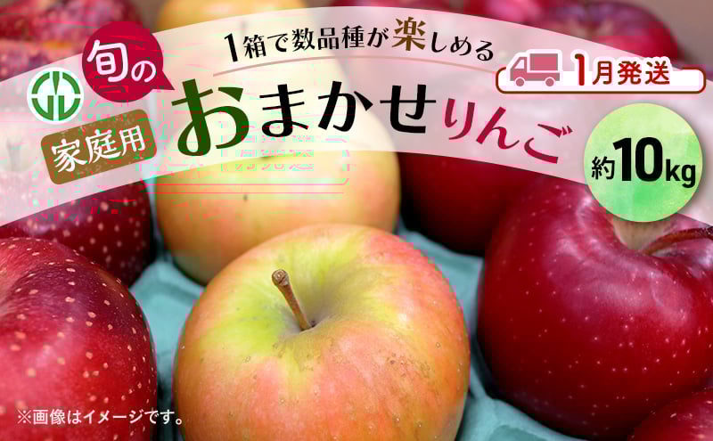 
            [№5554-0266]りんご 【 1月発送 】 家庭用 旬のりんご 品種おまかせ 約 10kg 2品種～5品種 果物類 フルーツ 林檎 リンゴ 鶴田町 青森県 おやつ デザート
          