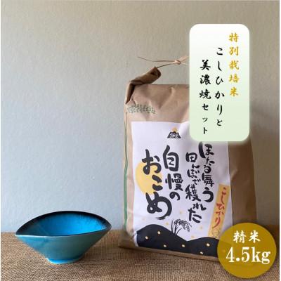 ふるさと納税 多治見市 【令和7年産:精米】特別栽培米コシヒカリ(4.5kg)+【美濃焼】青輝貫入楕円小鉢(2個)
