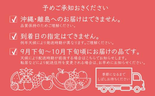 甘酸っぱいリンゴが好き!という方にはおすすめのりんごです。