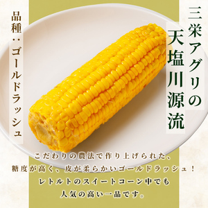 ＜先行予約受付中＞朝採りレトルトスイートコーン ゴールドラッシュ (5パック) 【2026年11月以降発送予定】ゴールドラッシュ 北海道産 北海道 士別市 とうもろこし トウモロコシ とうきび 【三栄