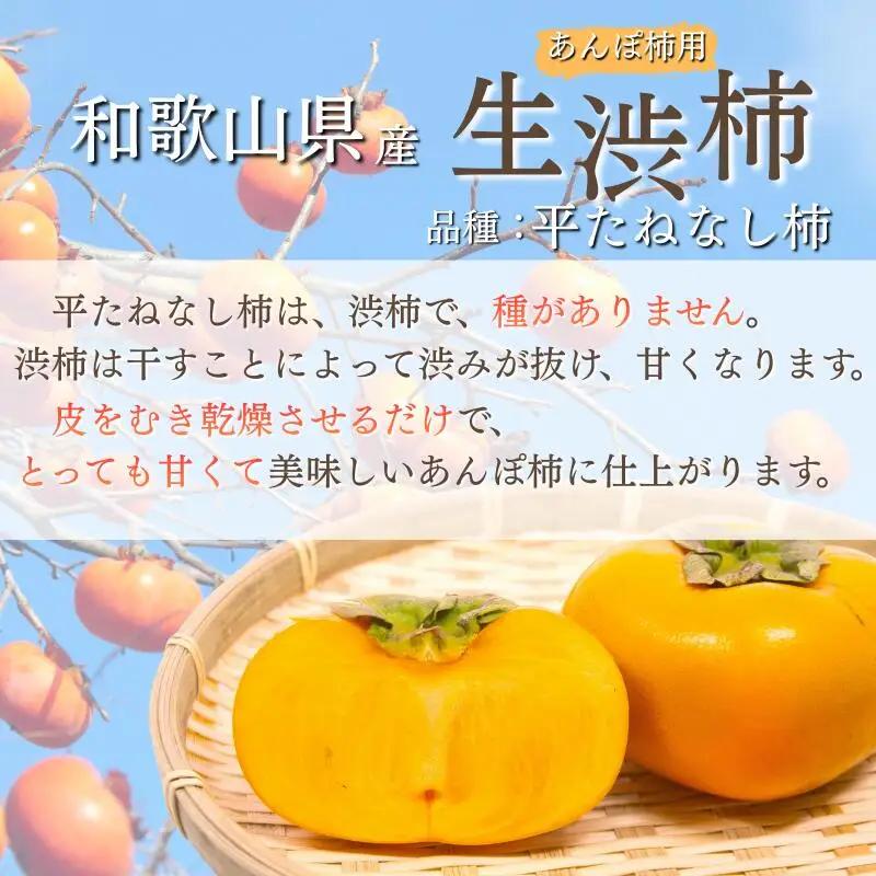 甘さが違う！とっても甘くなる生渋柿（平たねなし柿）あんぽ柿用 T軸枝無 約14.5～15kg　約60～90個＜2026年10月中旬～11月上旬ごろ順次発送＞【art002B】
