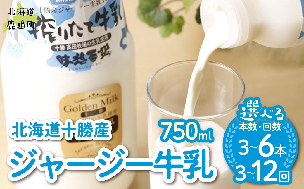 
                  ジャージー牛乳 750ml 選べる本数 配送回数 【ふるさと納税 人気 おすすめ ランキング ジャージー牛乳 高級 ブランド 高田牧場 定期便 北海道 十勝 鹿追町 送料無料】 SKM046-v
                