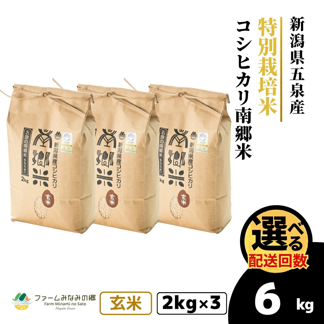 【ふるさと納税】 令和7年産 新米 玄米 6kg ( 2kg × 3袋 ) 五泉産 コシヒカリ 南郷米 特別栽培米 選べる回数 | げんまい こしひかり お米 おこめ コメ こめ 新潟県 五泉市 ファームみなみの郷