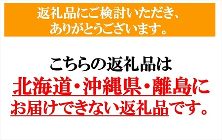 プルーン約800g（400g×2パック）【先行予約・2026年9月上旬～中旬発送】(北海道・沖縄・離島は配送不可)　サンプルーン 果物　フルーツ　くだもの　生プルーン　プルーン栽培発祥の地　信州　長野