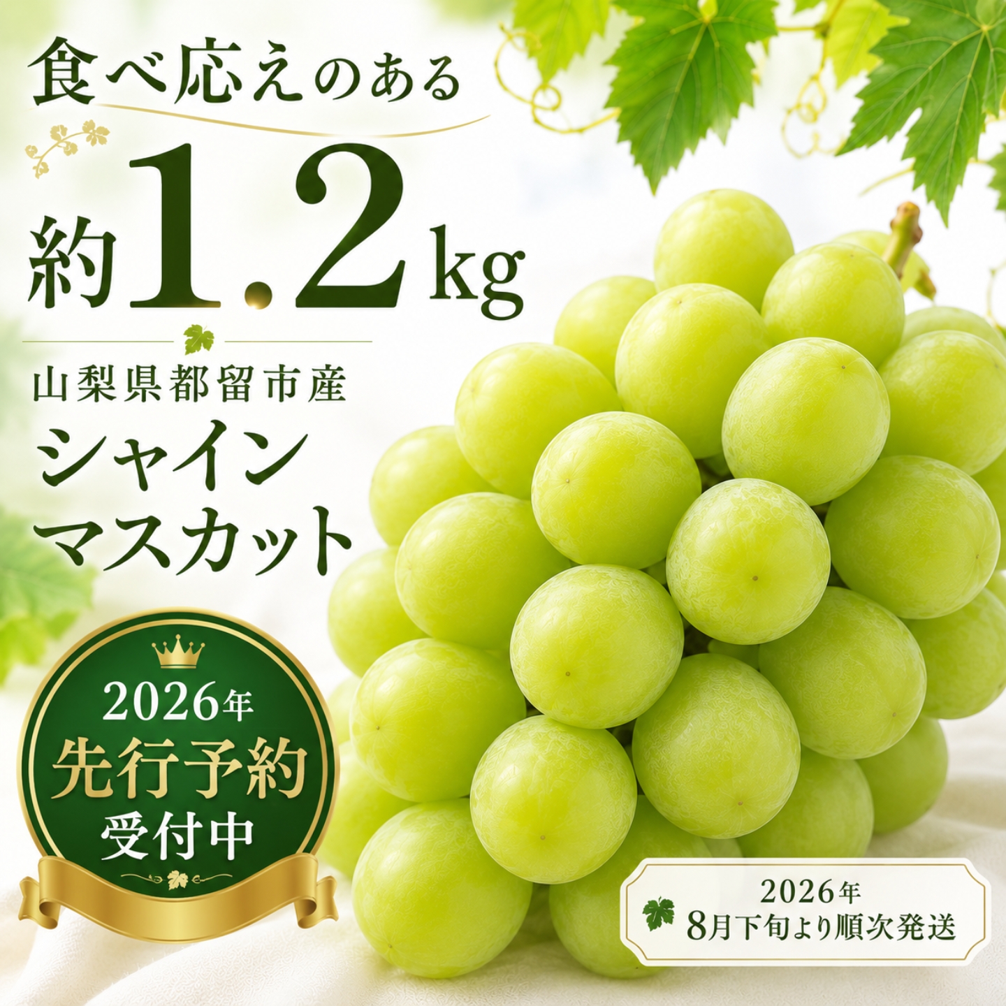 【2026年！今シーズン発送！ 】山梨県産　シャインマスカット 約1.2kg (２房～3房) | シャイン シャインマスカット ブドウ 葡萄 ぶどう