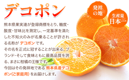 デコポン 先行予約 訳あり 2kg デコポン