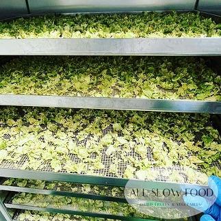 高知乾燥野菜ミックス 約100g×3袋セット 【グレイジア株式会社】 [ATAC530]
