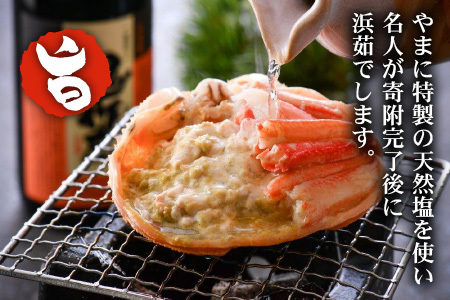 【先行予約】名人が茹でる 指折れ訳あり越前がに(小) 6杯 やまに仕込み【3月発送分】 [F-4352_03]