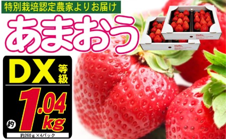 あまおう DX等級のみ 約1.04kg 約260g×4パック あまおう 果物
