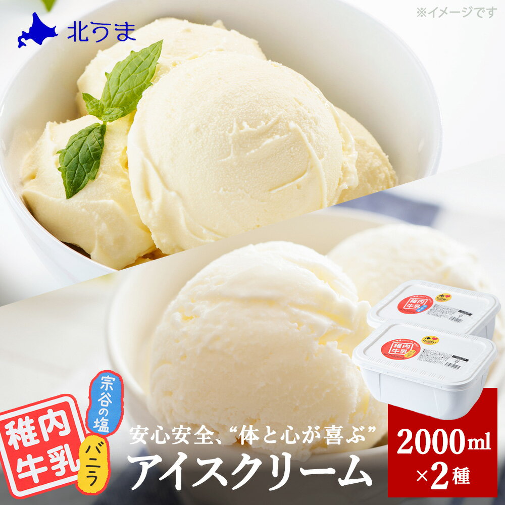 【ふるさと納税】【業務用】稚内牛乳アイスクリーム2000mlバニラ×宗谷の塩2個セット アイス アイスクリーム スイーツ ギフト プレゼント 贈り物 送料無料 【配送不可地域：離島・沖縄県】