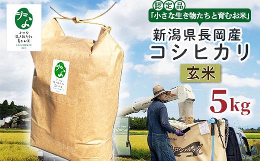 25-8GC051A【玄米】新潟県長岡産コシヒカリ5kg【「小さな生き物たちと育むお米」認証品】