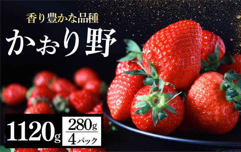 【先行予約＿2026年出荷分】 完熟いちご280g かおり野 4パック（DXパック） 【 かおり野 いちご 苺 イチゴ 果物 フルーツ くだもの 旬 伊豆 静岡県 期間限定 先行予約 】