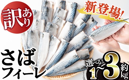 
                  No.1383 ＜選べる＞訳あり！無塩とろさばフィーレ(約1kg/2kg/3kg) 干物 さば サバ 鯖 魚介類 魚 訳アリ 人気 フィレ 不揃い 冷凍 切り身 切身 おかず 惣菜 お弁当 無塩 便利【みのだ食品】
                