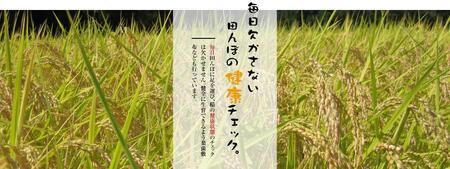 【毎月定期便　6ヵ月】最高級魚沼産こしひかり　【ダイヤモンド褒賞受賞　特別栽培米】 １０kg（5kg ×２）×全6回