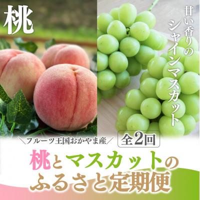 ふるさと納税 真庭市 【発送月固定定期便】【2026年先行予約】桃とシャインマスカット ご家庭用定期便(岡山県産)全2回