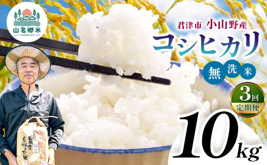 【 定期便 3回 】 無洗米 令和8年産 君津市小山野産 コシヒカリ 10kg 3回 | あかかげ農園 千葉稲作 こしひかり 千葉県産 むせんまい 米 コメ こめ お米 千葉県 君津市 きみつ