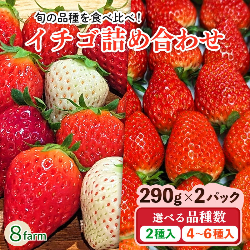 【ふるさと納税】【先行予約】イチゴ詰め合わせセット 選べる品種数【盛り合わせ 品種 おまかせ 旬 食べ比べ いちご イチゴ 約290g×2パック 苺 冷蔵 安来】【価格変更】