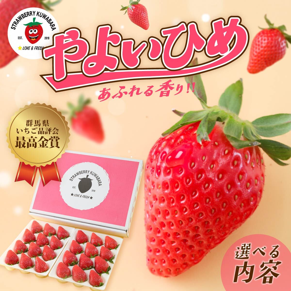 【ふるさと納税】いちご やよいひめ 選べる内容 400g 800g 定期便 いちご品評会最高金賞受賞 ｜おいしい 大粒 高評価 非日常 完熟 新鮮 朝採れ やみつき 人気 高品質 たっぷり 贈答 土耕 完熟 旬 産地直送 甘い あまい 人気 高糖度 ごほうび プレゼント 群馬県 前橋市