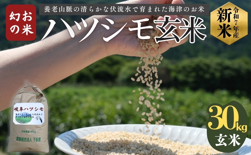 「 幻の米 」 ハツシモ 玄米 30kg 