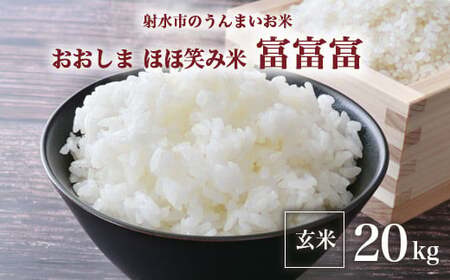 【R8年度産米】総理大臣賞受賞 人気のブランド米「富富富」20kg（5kg×4）【玄米】｜ お米 令和8年産米 銘柄米 こめ 小分け 5kg 20kg 5キロ 20キロ 三世代交流 白米 富山県 射水市おおしま ほほ笑み米 ※離島への配送不可 ※2026年10月上旬～10月下旬頃に順次発送予定