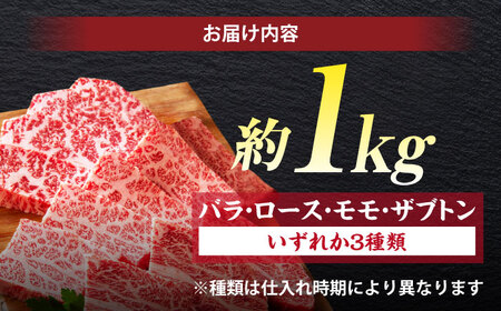 しまね和牛 焼肉セット 部位3種(1kg) 島根県松江市/株式会社O.R.C[ALEF003]