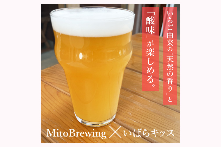 【ジャパン・グレートビア・アワーズ2026 銀賞受賞】【数量限定】【ぬりや】クラフトビール 酔いちご（2025BY）330ml5本セット【ビール お酒 アルコール 苺 いちご いばらキッス 麦芽 ホッ