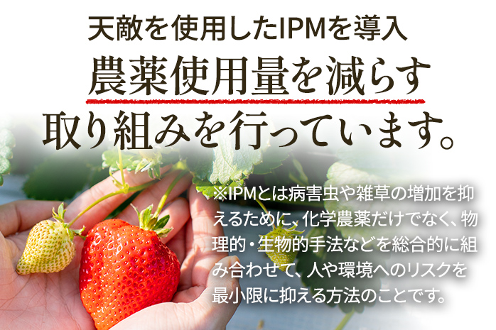 いちご あまおう 約1100g （約275g×4パック） 【先行受付／2027年3月～5月中旬順次発送予定】