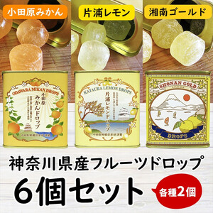 【小田原のフルーツ果汁を使ったドロップ3種類×2個セット】口に入れるとフルーツの香りが広がるドロップ。【 ドロップ 神奈川県 小田原市 ドロップ】